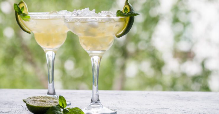 Margarita tutorial para novatos