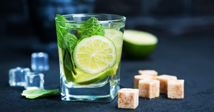 Mojito: tutorial paso a paso